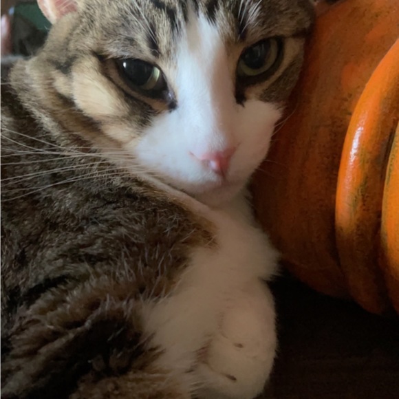 Meet your Posher, Adrienne (but please, call me Renn.) - Picture 6 of 7